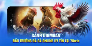 Sảnh Digmaan - Đấu Trường Đá Gà Online Uy Tín Tại 78win
